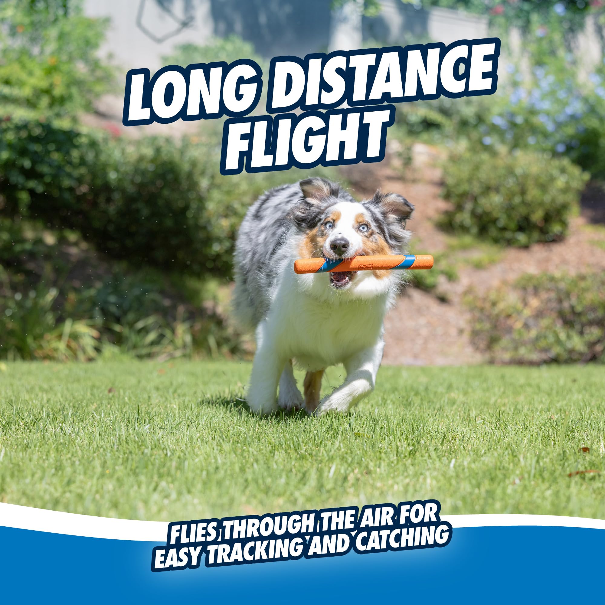 Chuckit! Ultra Fetch Stick ready for RingChaser compatibility and slobber-free returns.