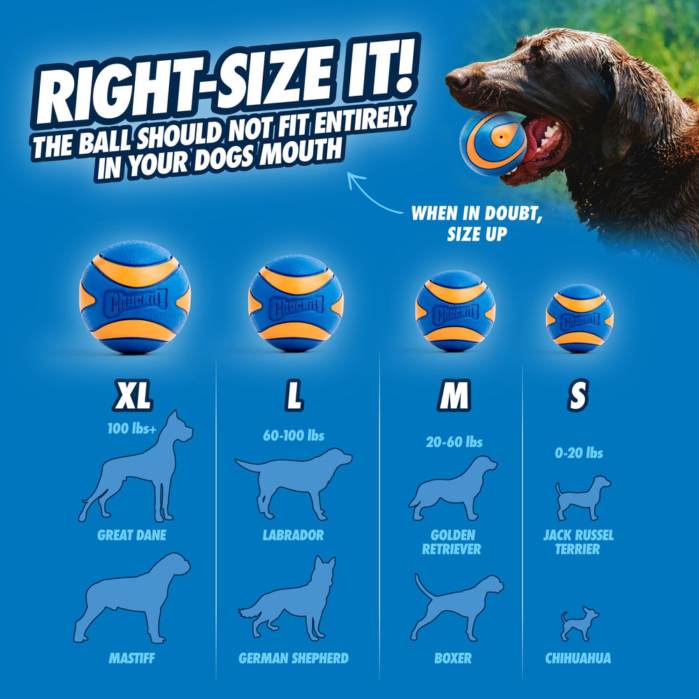 Chuckit Ultra Squeaker Ball bright orange-blue visibility helps spot quickly.