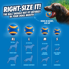 Chuckit Ultra Squeaker Ball bright orange-blue visibility helps spot quickly.