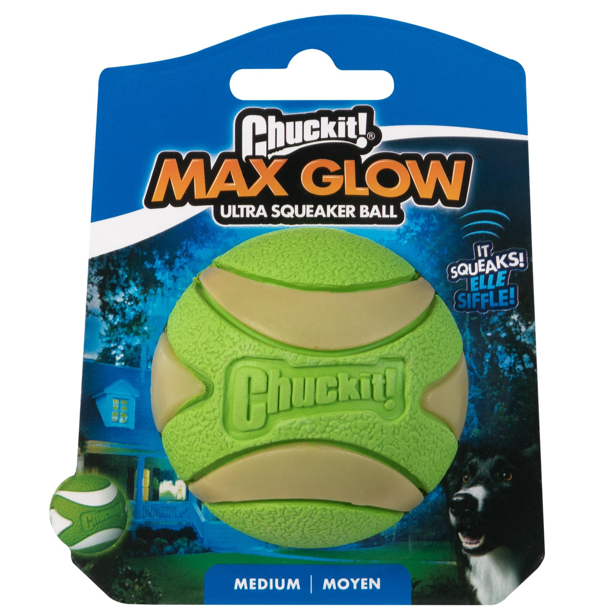 Chuckit Ultra Squeaker Ball in action shows lightweight bounce and quick play.