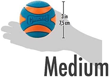 Chuckit! Ultra Squeaker Ball in action captures durable design during vigorous play.