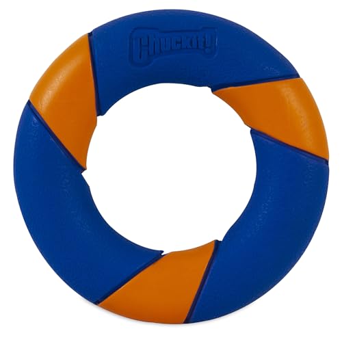 Chuckit Ultra Squeaker Ring shows erratic bounce for exciting chase sessions