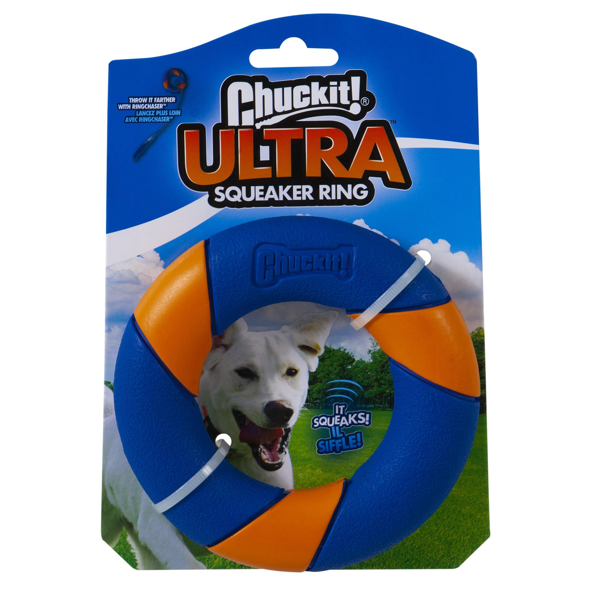 Chuckit Ultra Squeaker Ring toy in hand ready for engaging fetch adventures