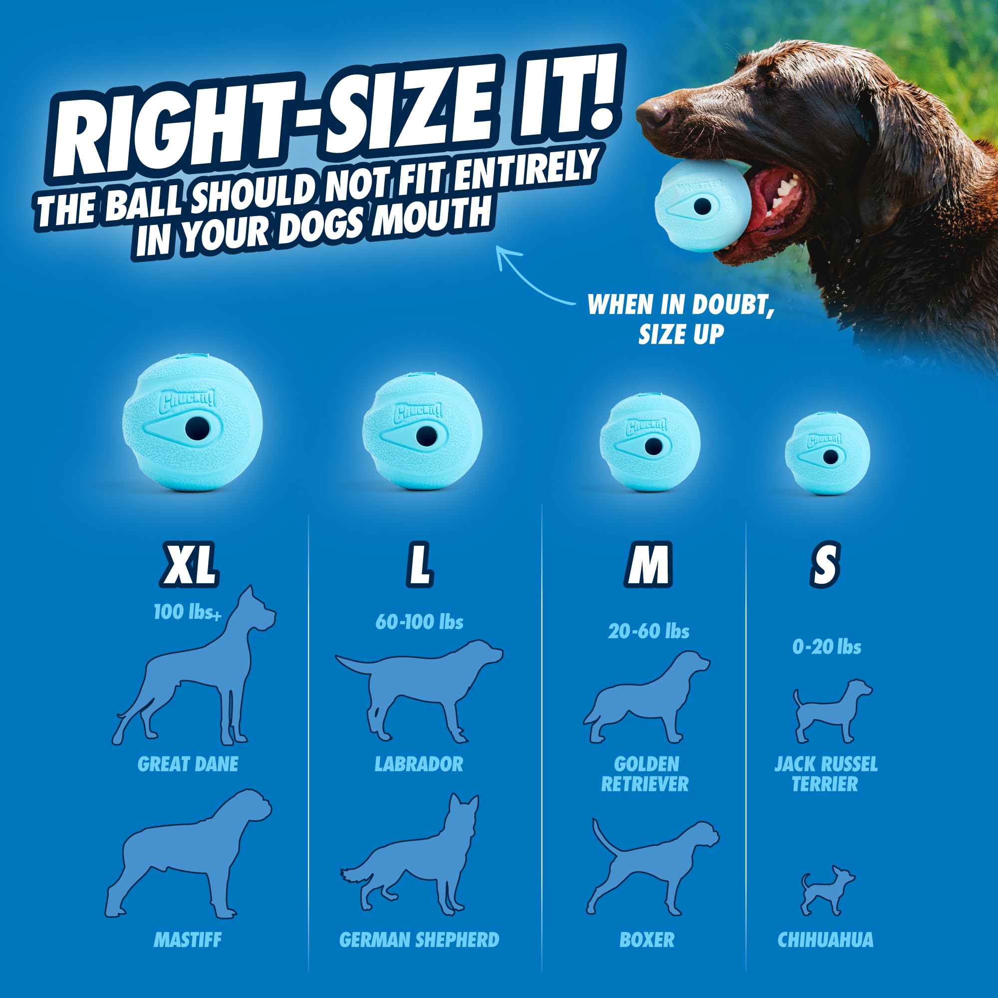Chuckit! Whistler Ball land-use image emphasizing non-floating ground play