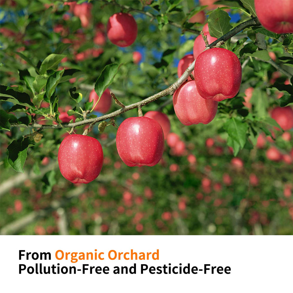 CHUHUAYUAN Apple Sticks – natural, pesticide-free chew for daily enrichment.