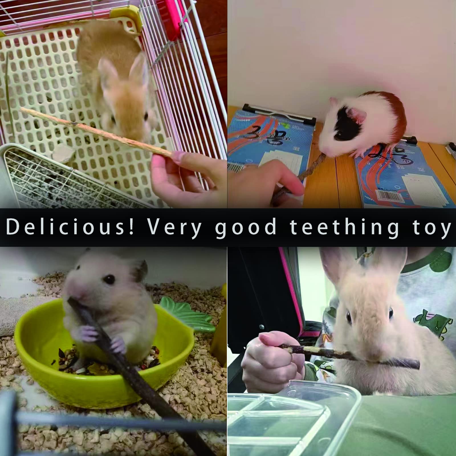 CHUHUAYUAN Apple Sticks snack-time – convenient bulk treat for multi-pet households.