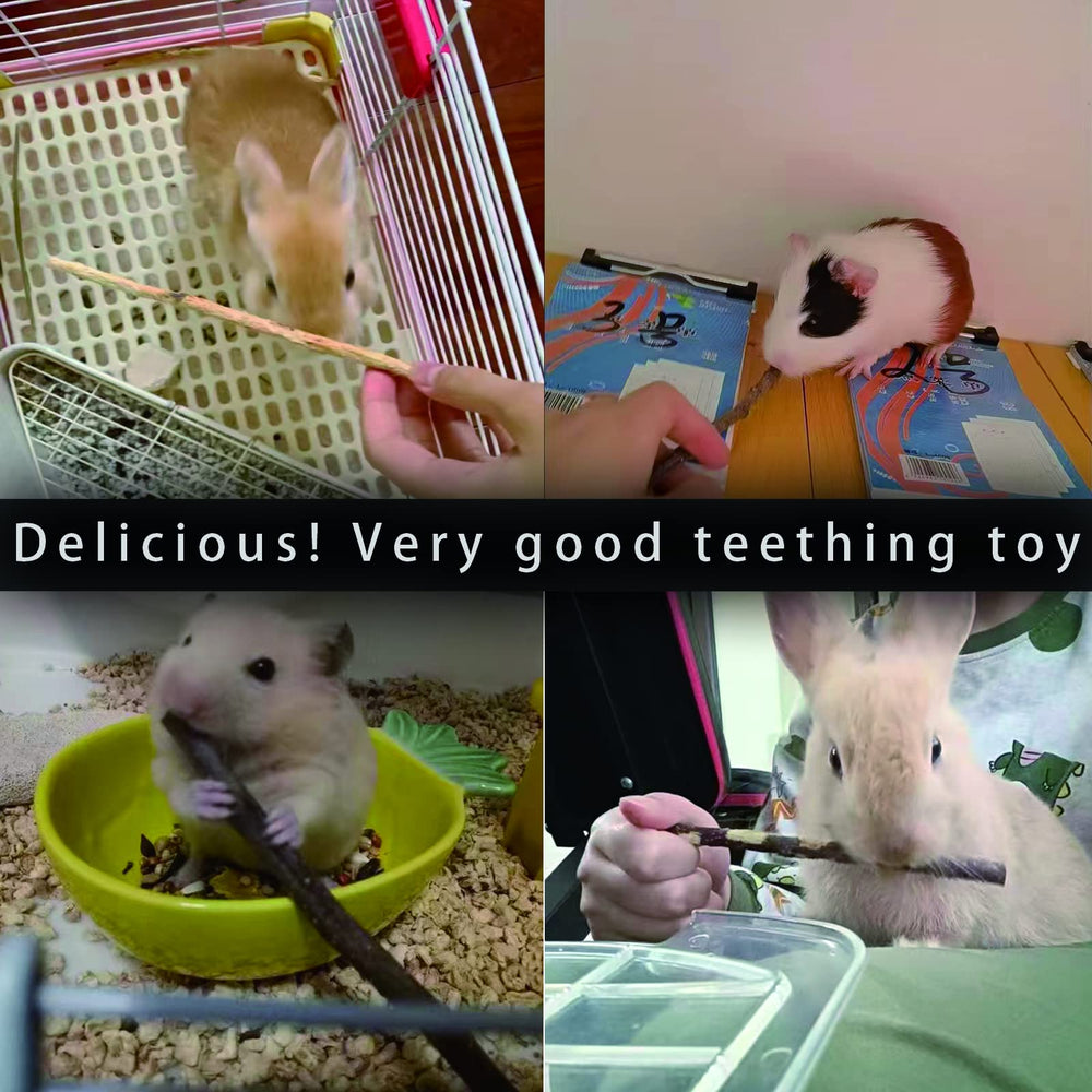 CHUHUAYUAN Apple Sticks snack-time – convenient bulk treat for multi-pet households.