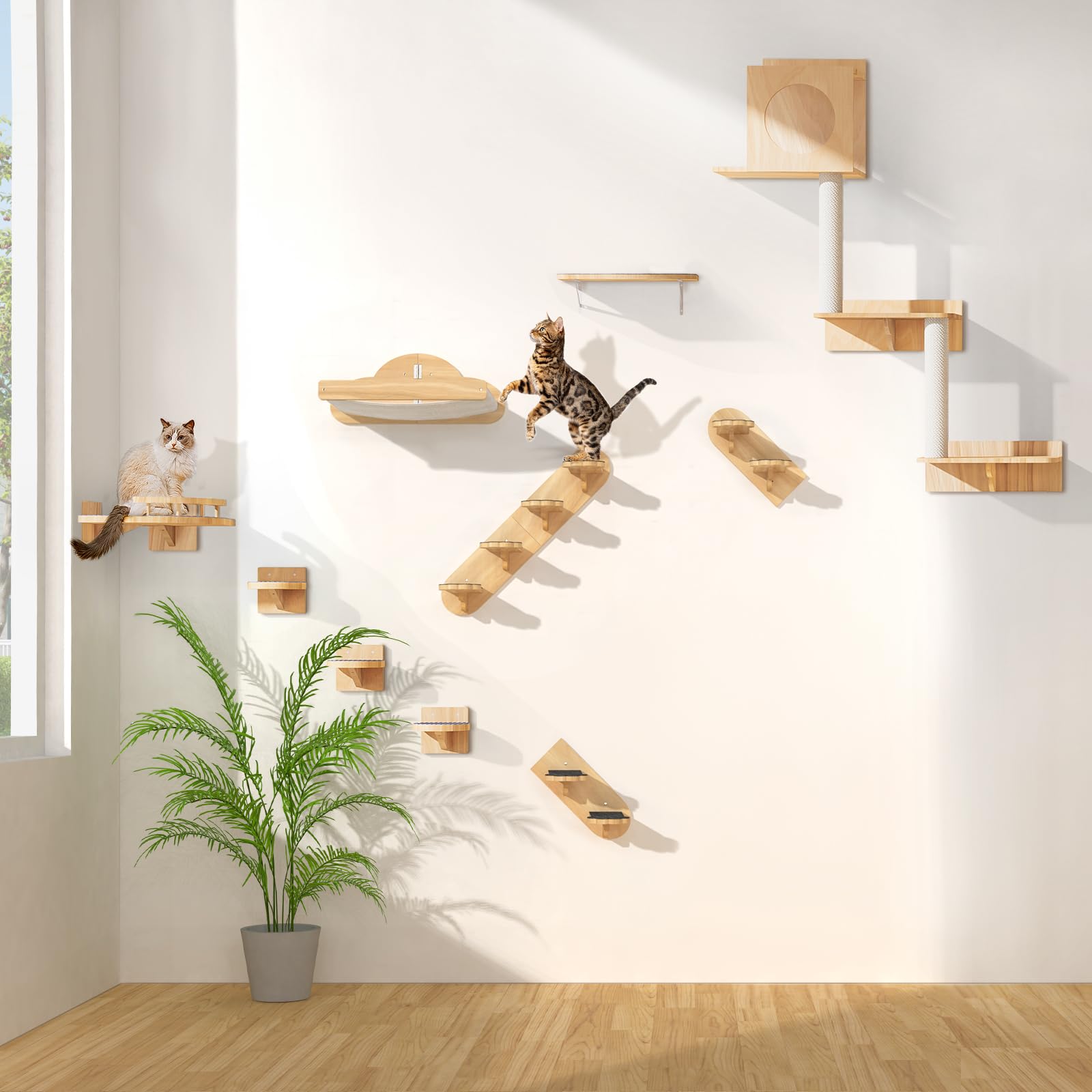 Chuiendi wall-mounted cat setup highlights climbing, jumping, and active play.