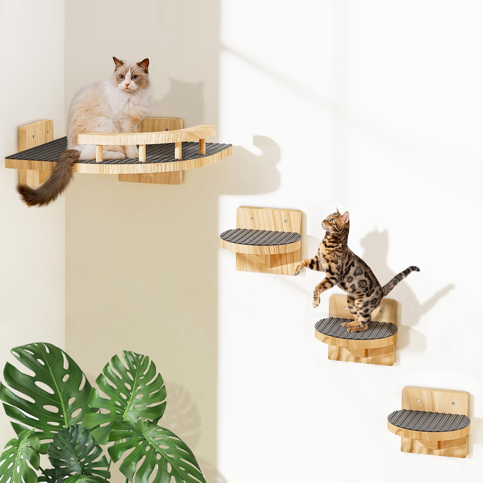 Chuiendi cat wall shelves 4-steps assembly show solid pine construction for safe indoor climbing.