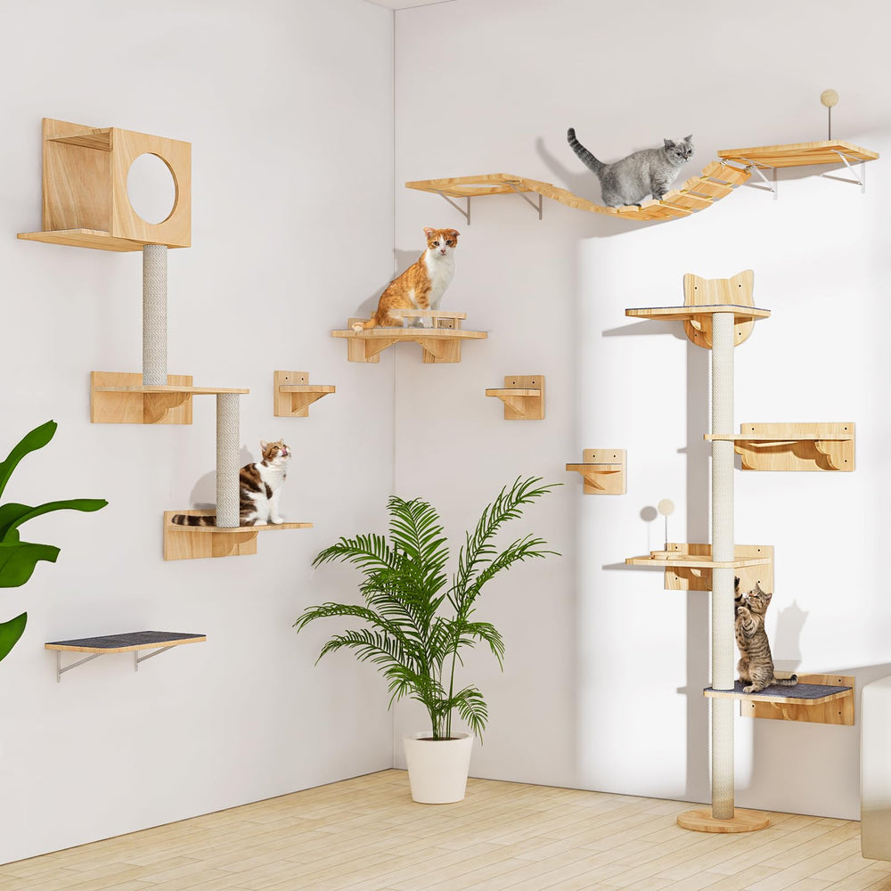 Chuiendi cat wall shelves 4-steps cozy perch emphasize a warm, secure lounging spot.