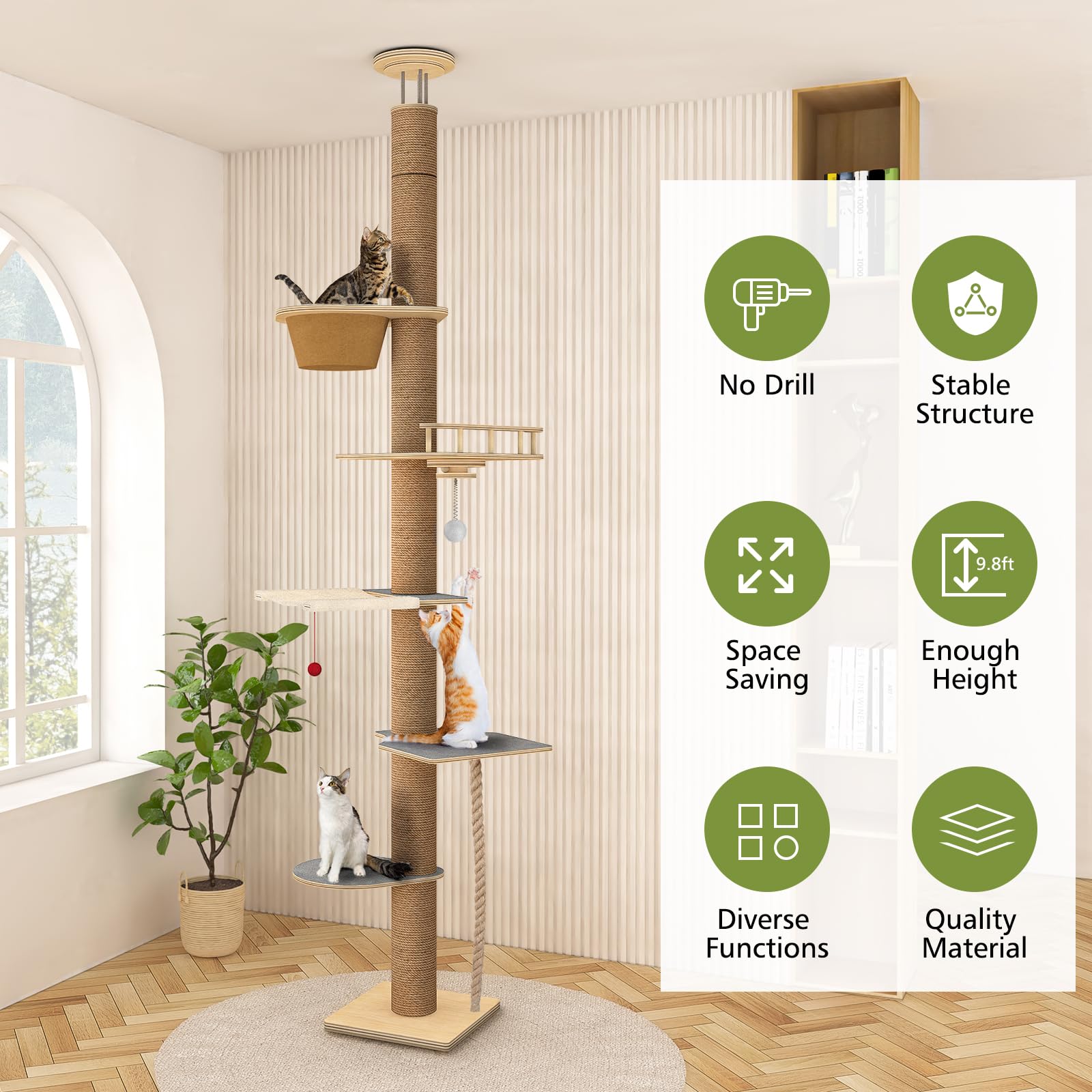 Chuiendi sturdy wooden construction supports active multi-cat households safely