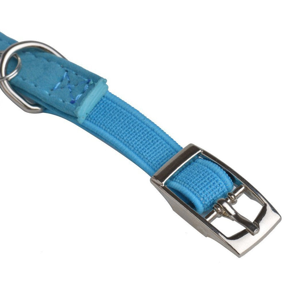 CHUKCHI Adjustable blue collar with elastic belt fits growing pets.