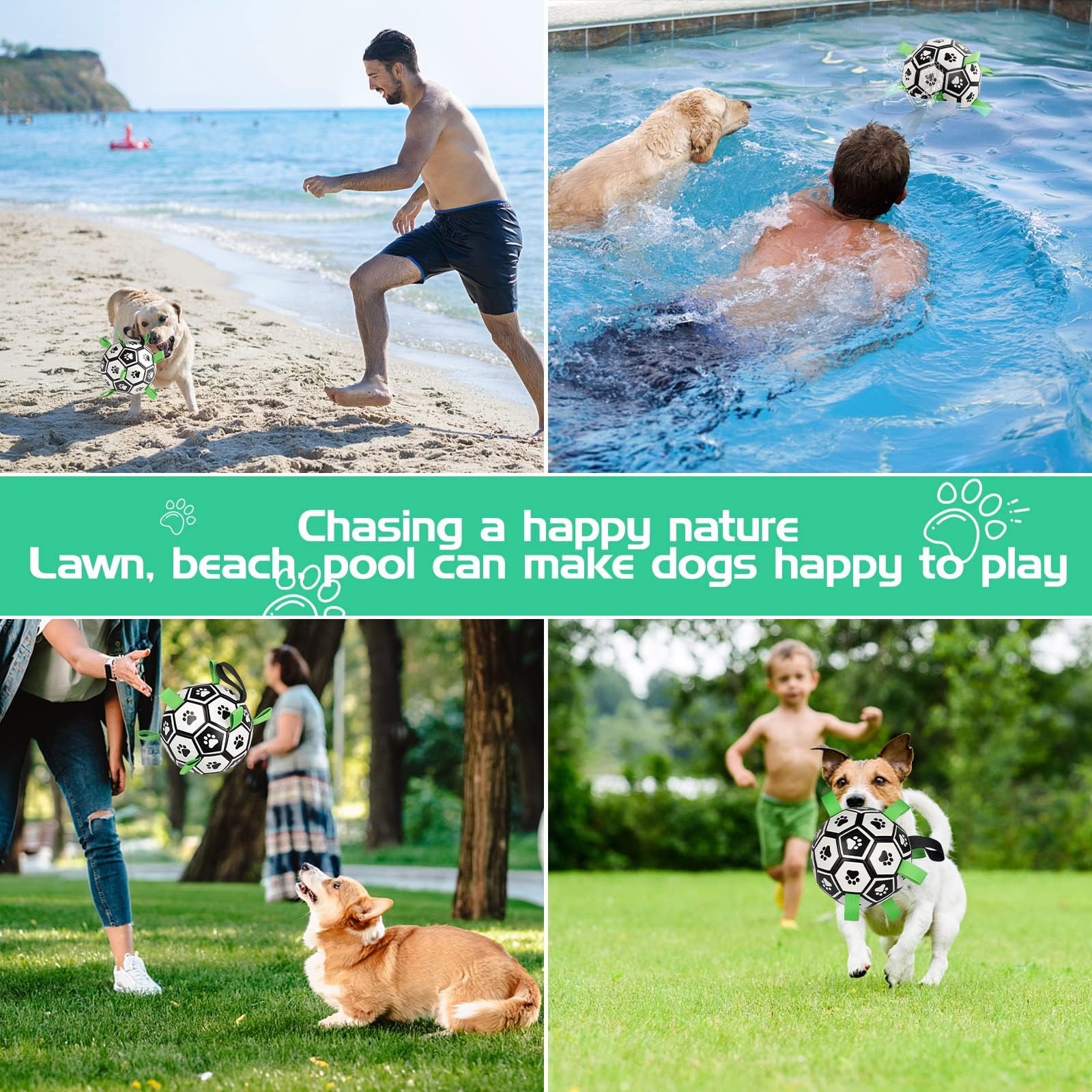 CHUKCHI dog toy soccer-ball bounce shows unpredictable hops for active play.