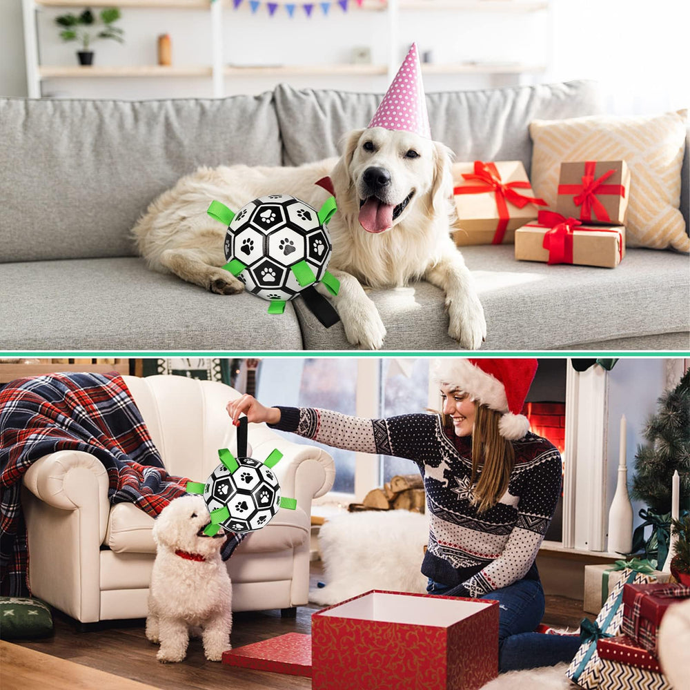 CHUKCHI dog toy supports active training and bonding at home.