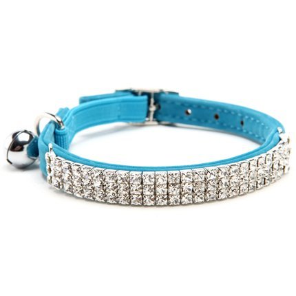 CHUKCHI Soft Velvet Collar blue worn on cat showing comfortable fit.