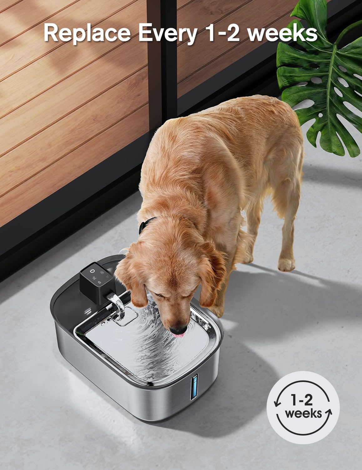Chumajor dog fountain water-flow shot highlighting steady hydration
