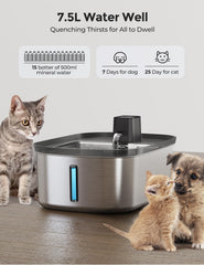Chumajor motion-sensor mode image demonstrates touch-free hydration.