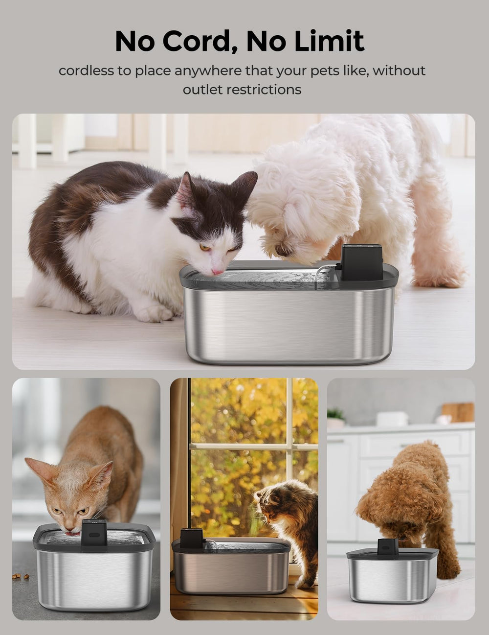 Chumajor stainless steel build resists rust and cleans easily.