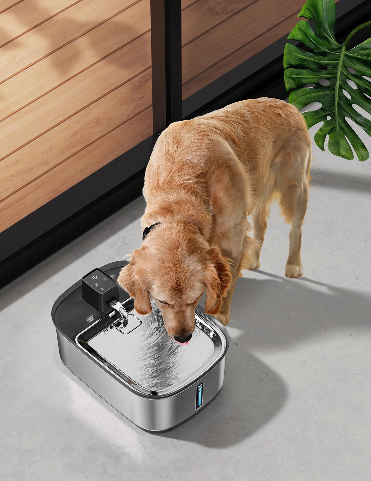 Chumajor quiet operation suits living rooms and multi-pet homes.