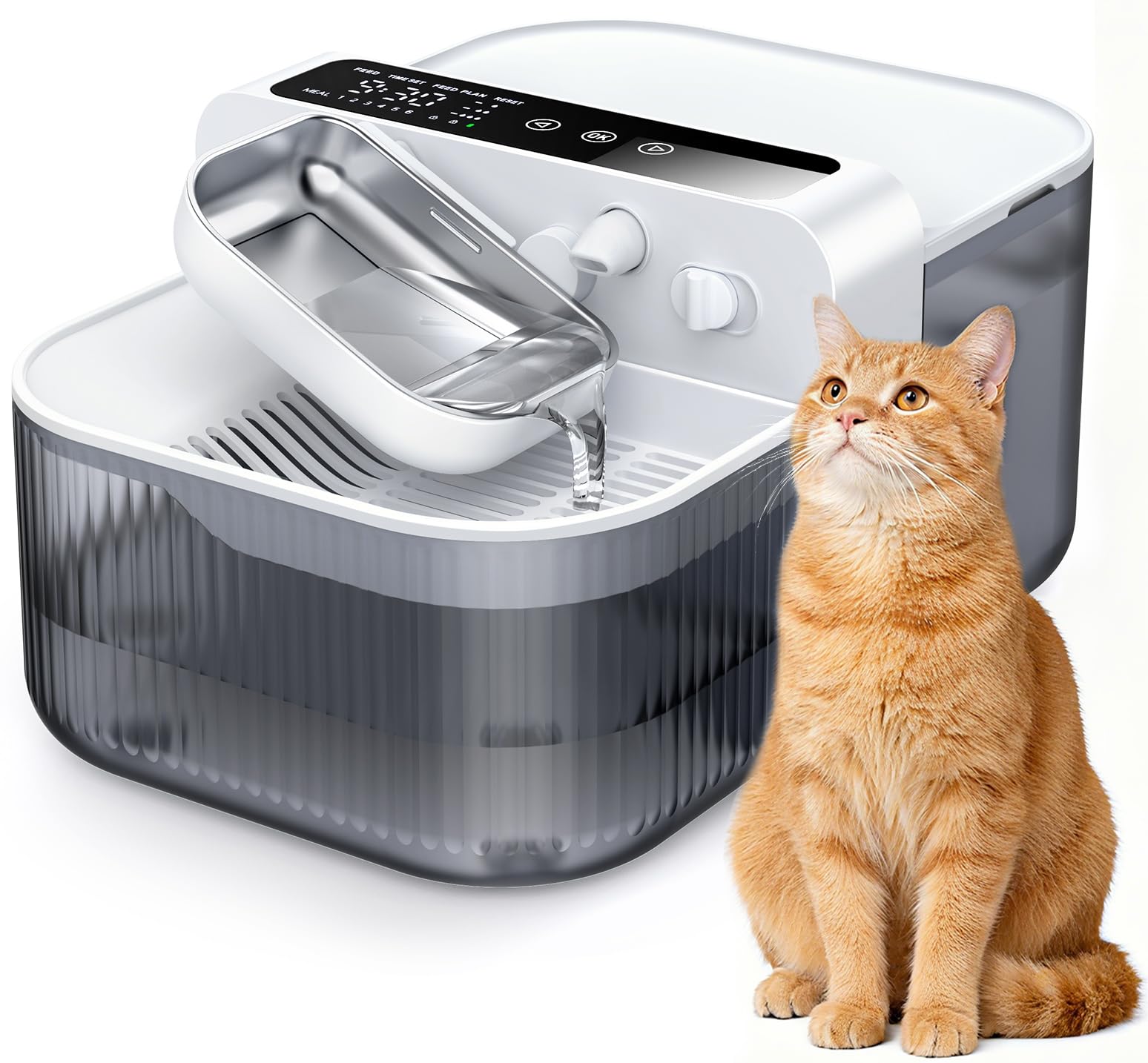 Chumajor pet drinking action image highlights convenient hydration access.