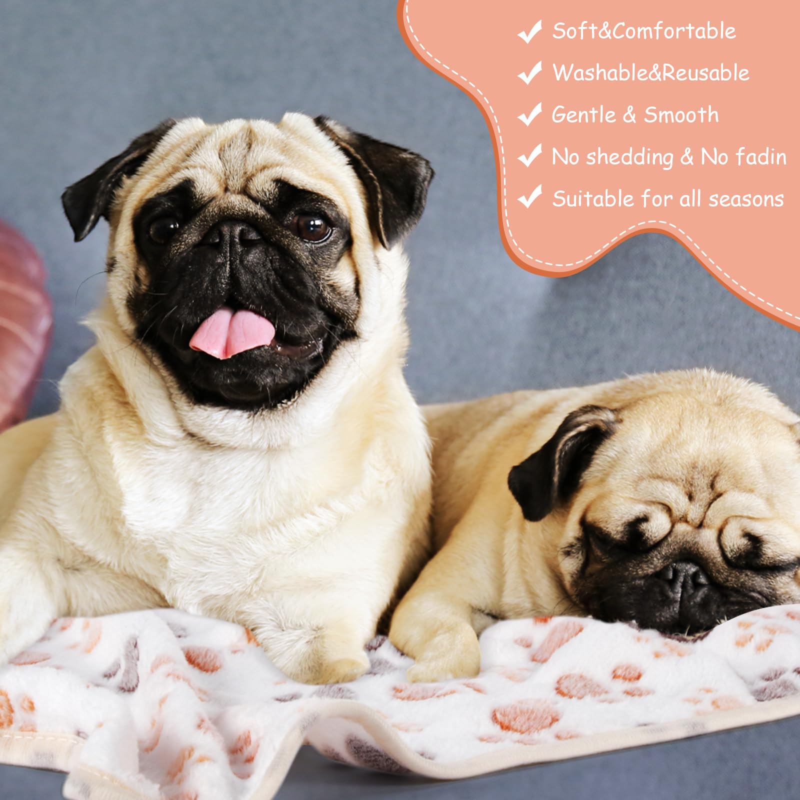 Chumia pet blanket on sofa scene demonstrates protection and easy cleanup.