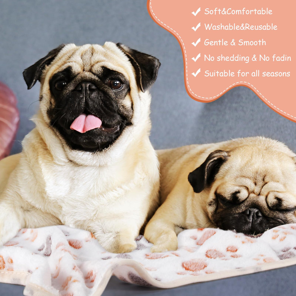 Chumia pet blanket on sofa scene demonstrates protection and easy cleanup.