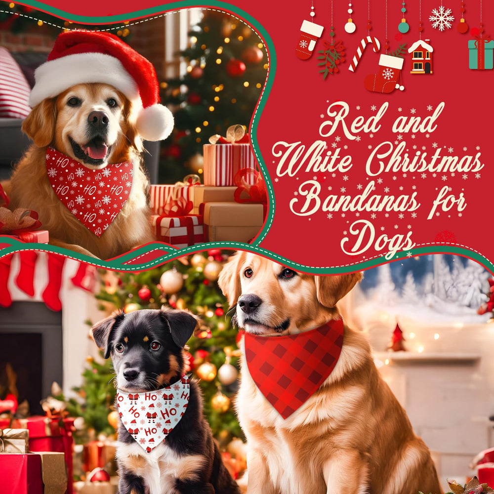 Chunful bulk set ideal for parties parades or daily festive wear