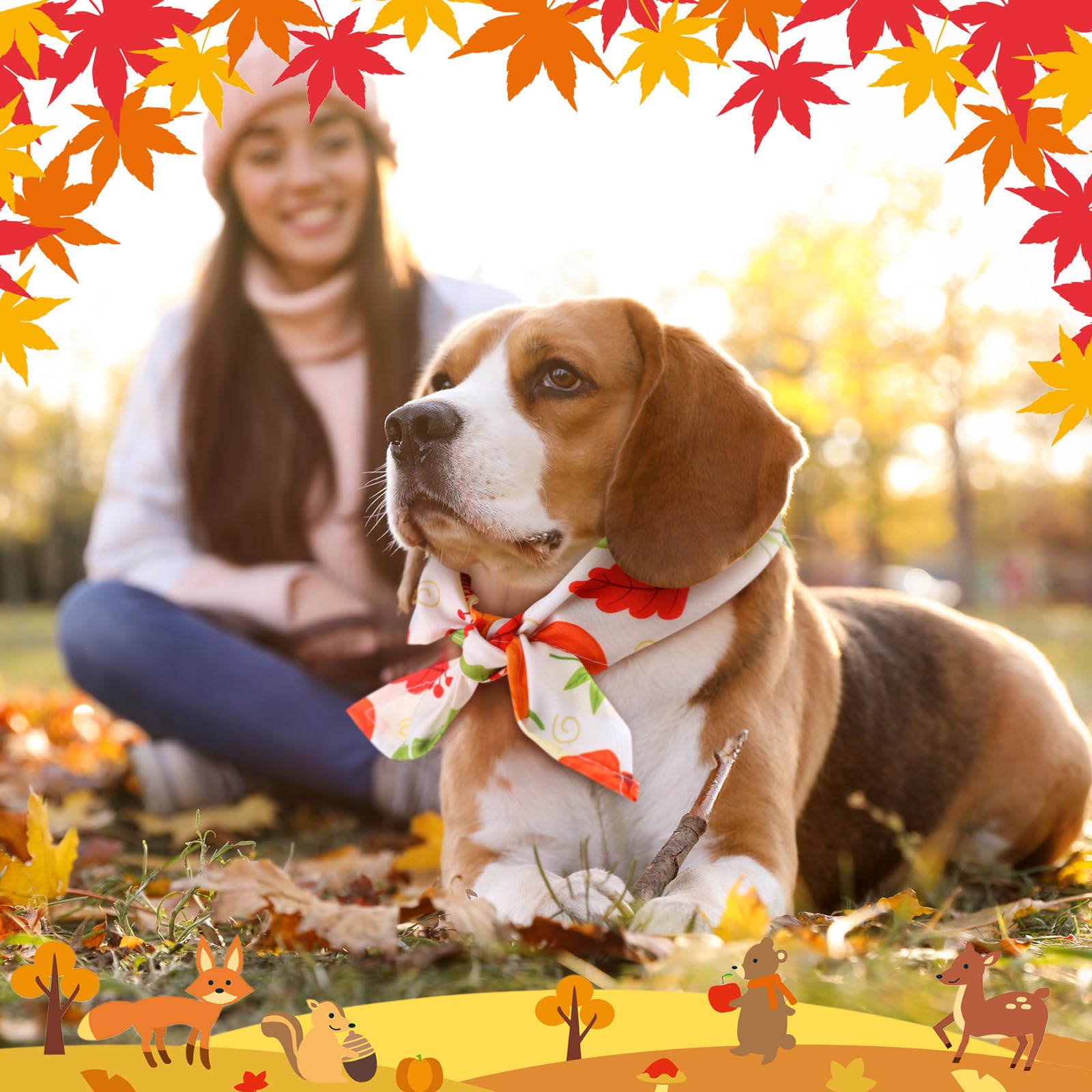 Chunful fall dog bandana showcase for party-ready pets.
