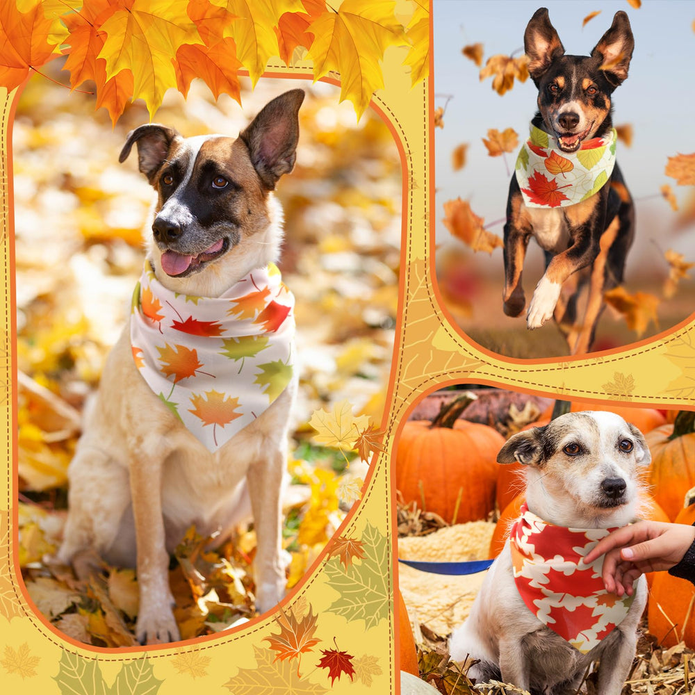 Chunful dog-wearing bandana on outdoor walk suggests stylish seasonal accessory.