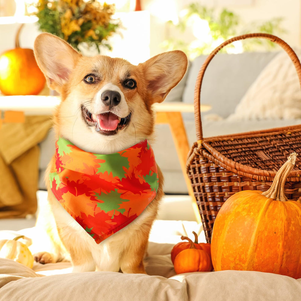 Chunful pumpkin-pattern dog bandana for autumn celebrations.
