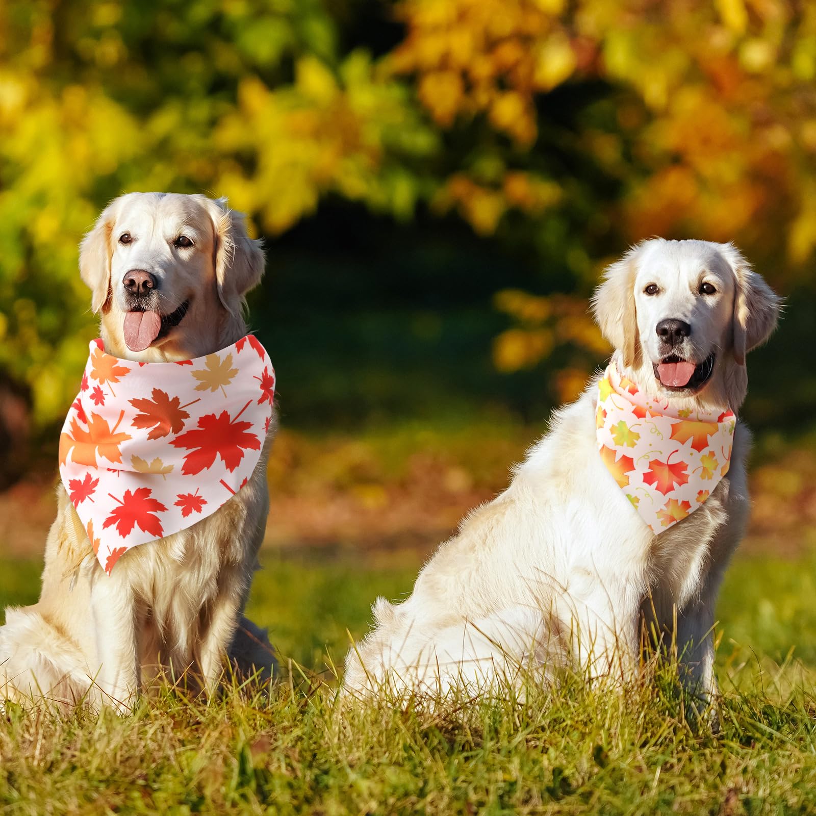 Chunful folded bandana size preview shows adjustable fit for dogs.
