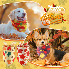 Chunful maple leaves pattern closeup highlights festive autumn design for pets.