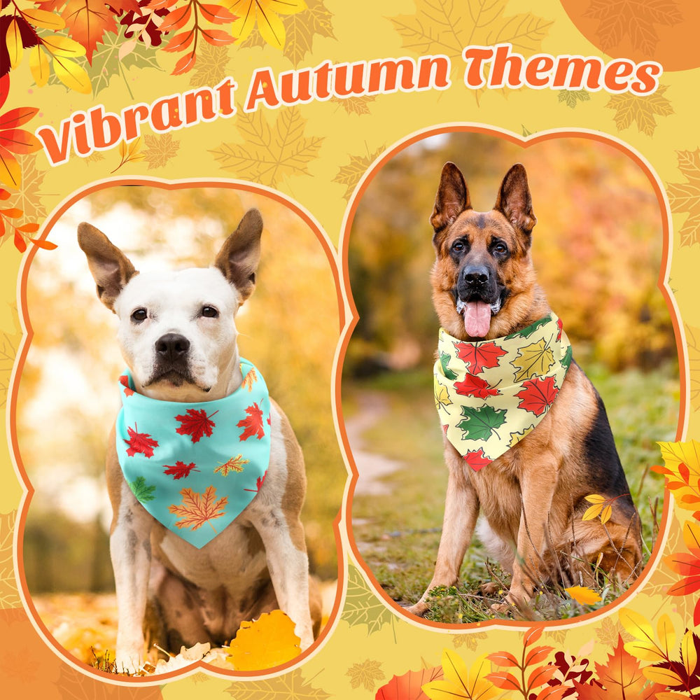 Chunful vibrant autumn colors bandanas emphasize festive season styling.