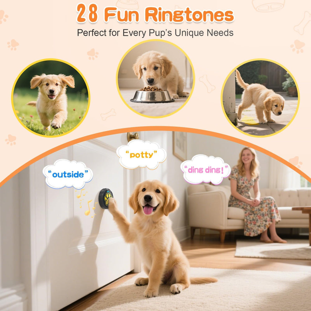 ChunHee chew-resistant design close-up indicates safe, durable puppy training.
