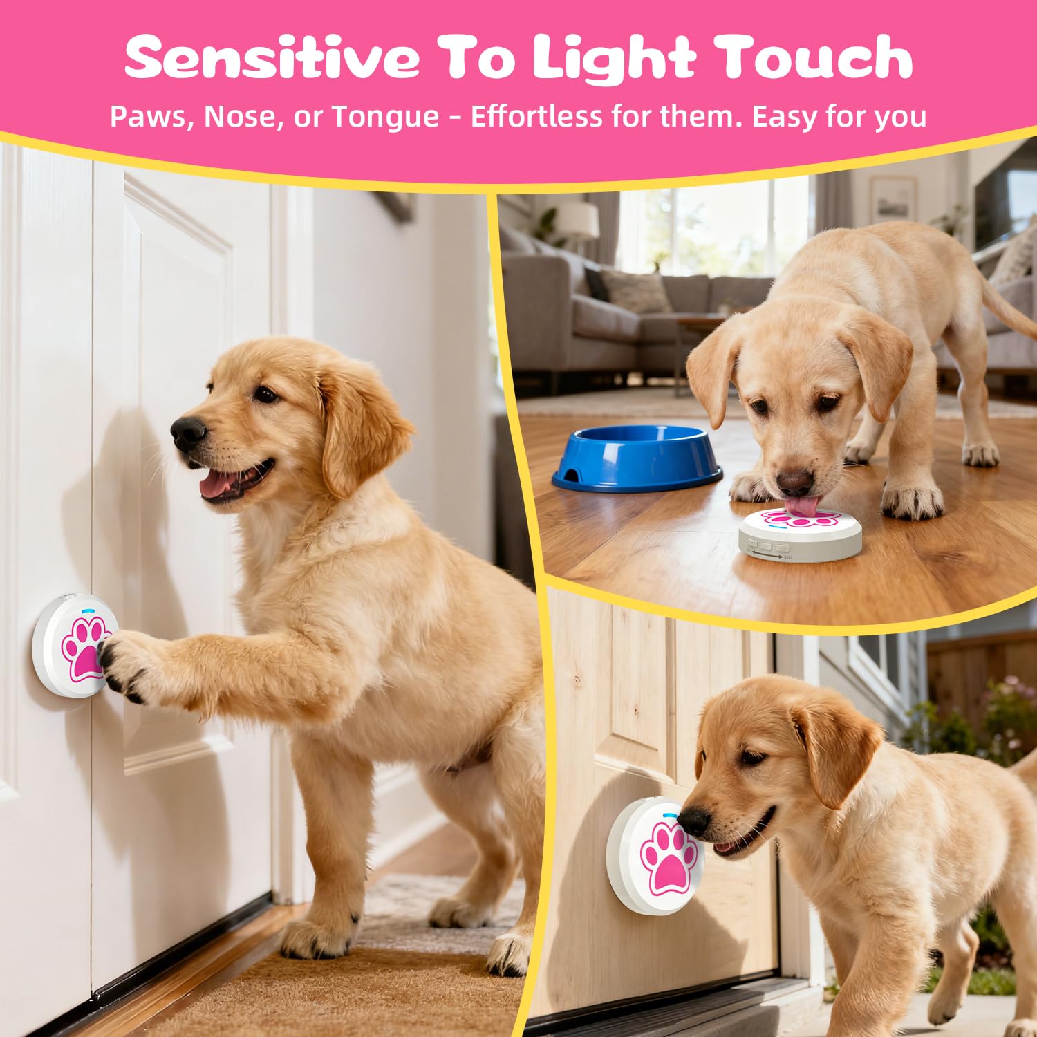 ChunHee Dog Door Bells 28-tone display for customizable cues