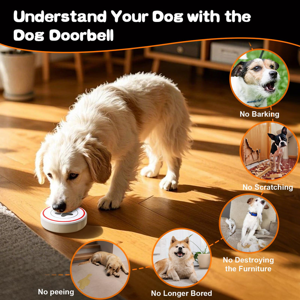 ChunHee smart dog door bell dog paw ringing illustrates effortless communication.