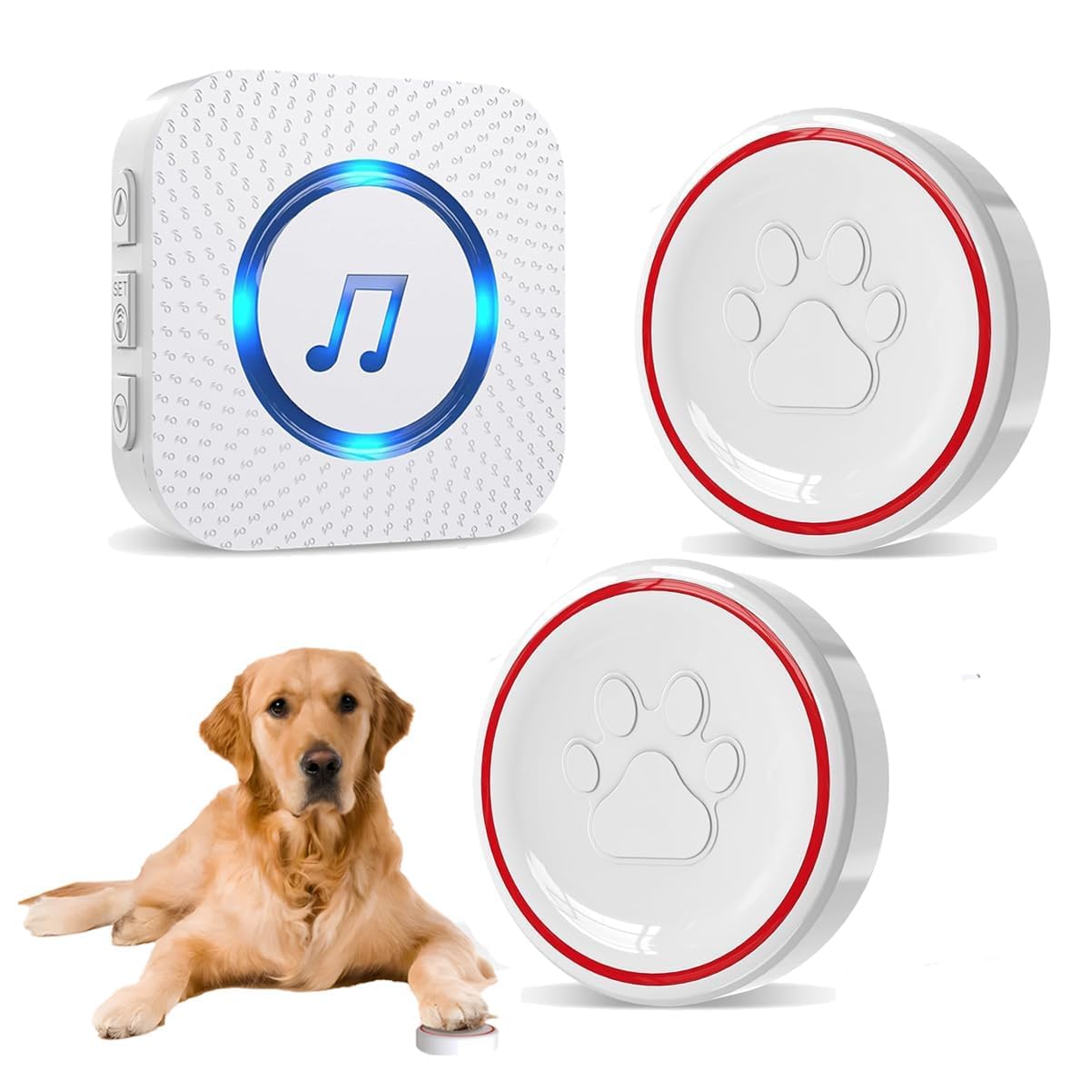 ChunHee smart dog door bell potty-training setup signals needs clearly for easy outdoor signaling.