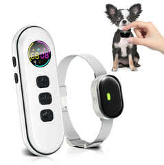 Chupolik ultra-small dog collar shown on a small dog for featherweight comfort and daily training.