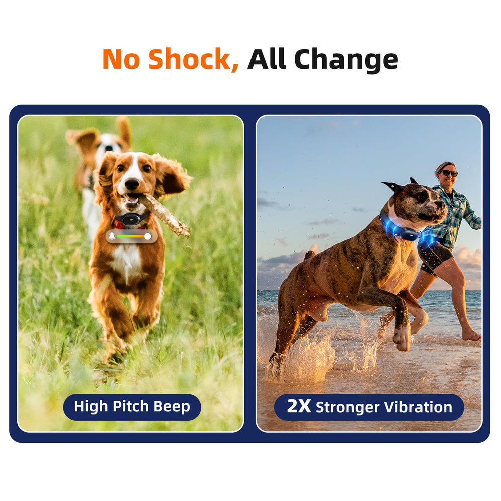 Chupolik waterproof collar close-up demonstrates sealed waterproof design