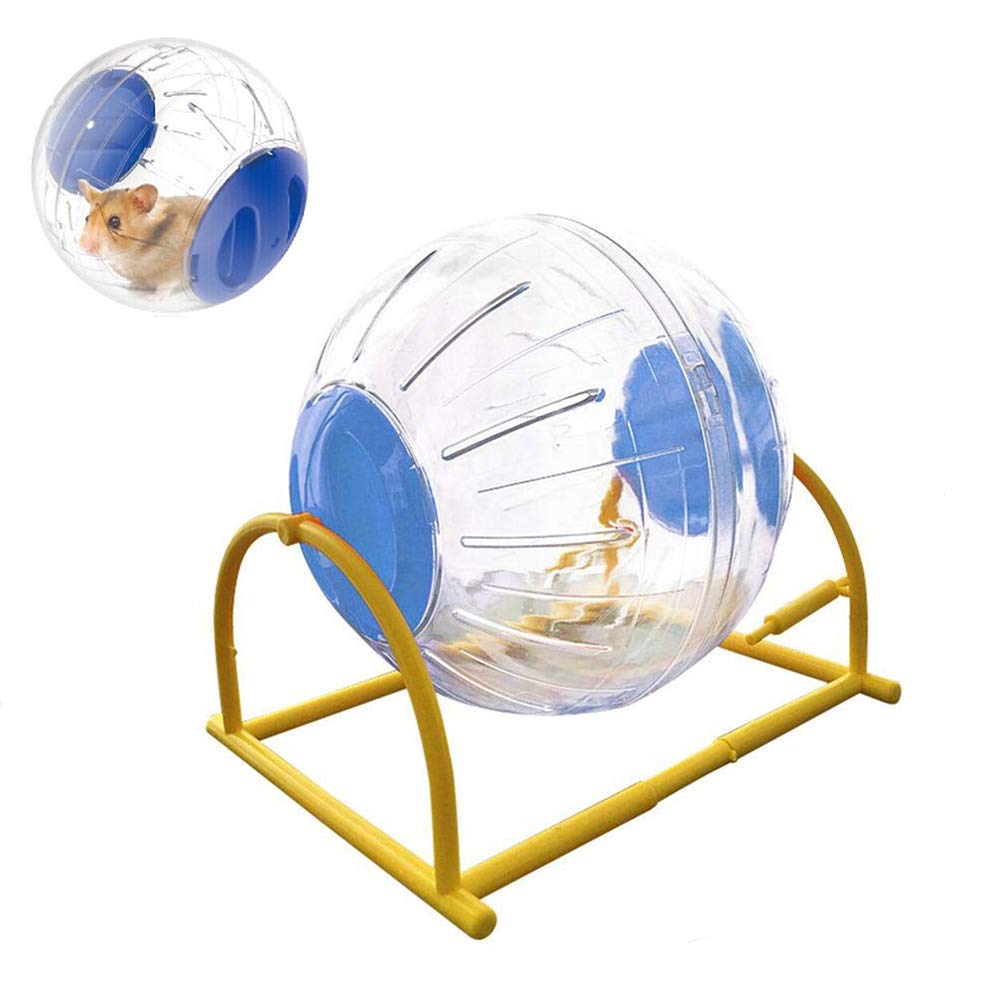 CHUQIANTONG hamster ball 6-inch transparent design for easy monitoring during exercise.