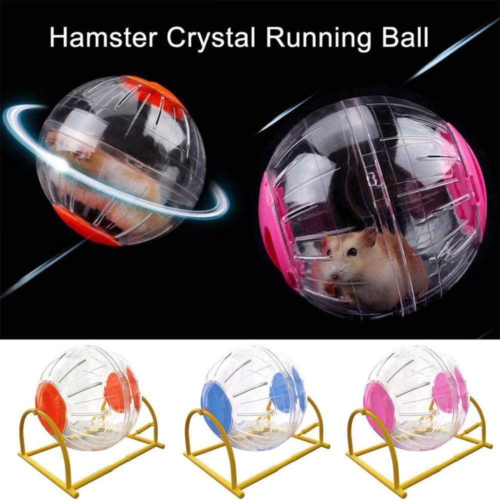 CHUQIANTONG hamster ball in use demonstrates engaging exercise for small pets.