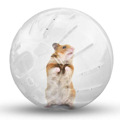 CHUQIANTONG hamster ball transparent view for easy visibility during exercise.