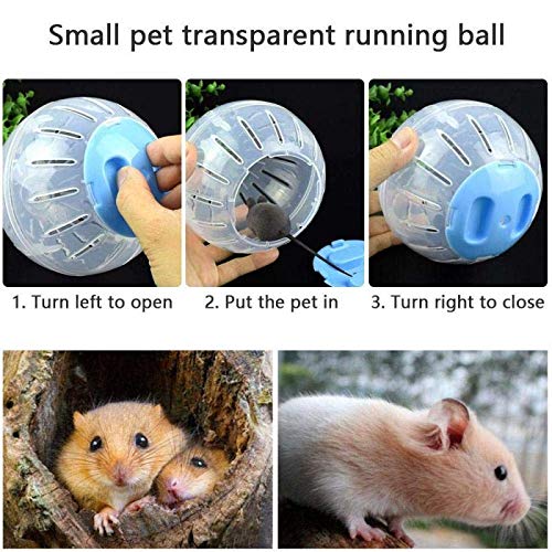 CHUQIANGTONG hamster exercise ball diy-extension-tubes inspires creative obstacle play