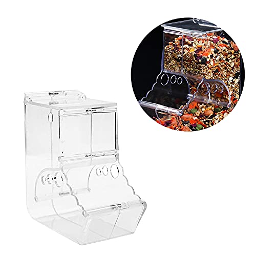 CHUQIANTONG transparent feeder allows observation of foraging behavior.