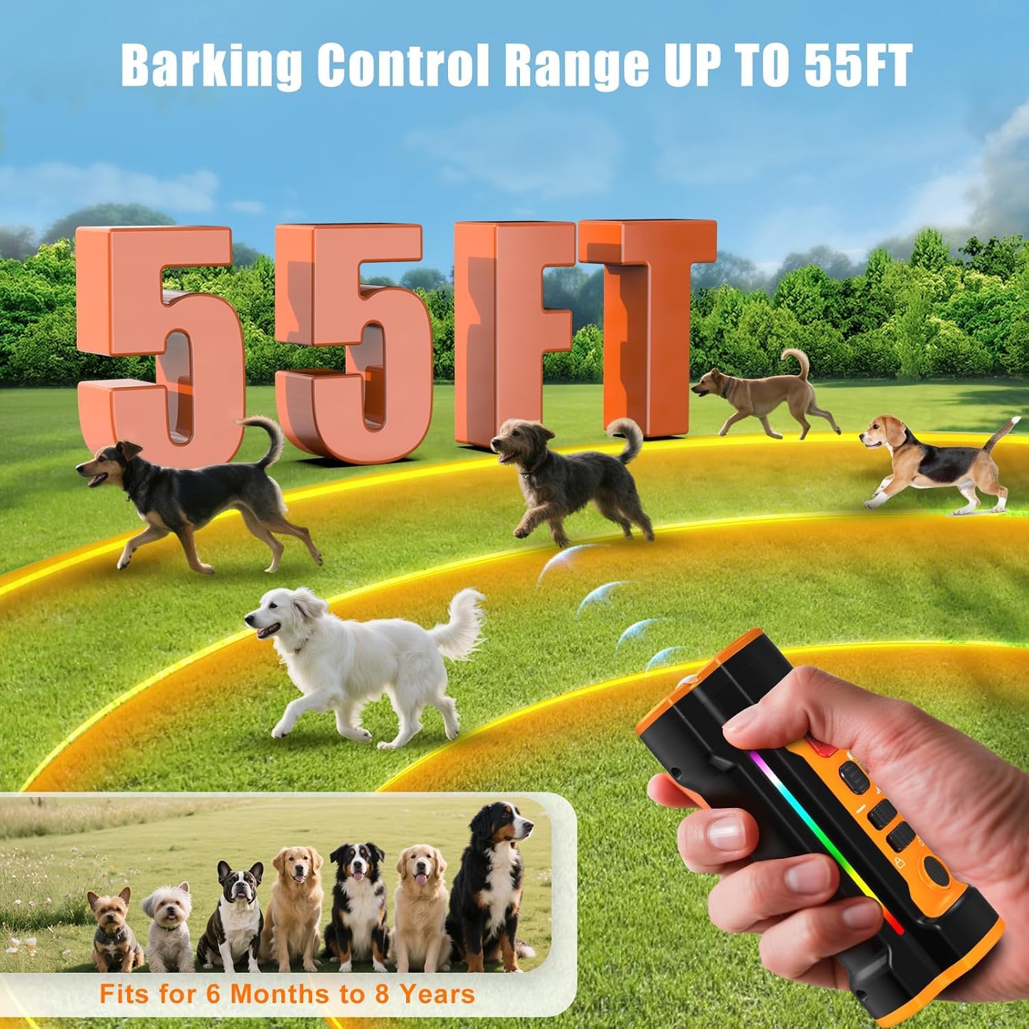 Chwwen dog bark deterrent LED flashlight image demonstrates nighttime visibility during walks