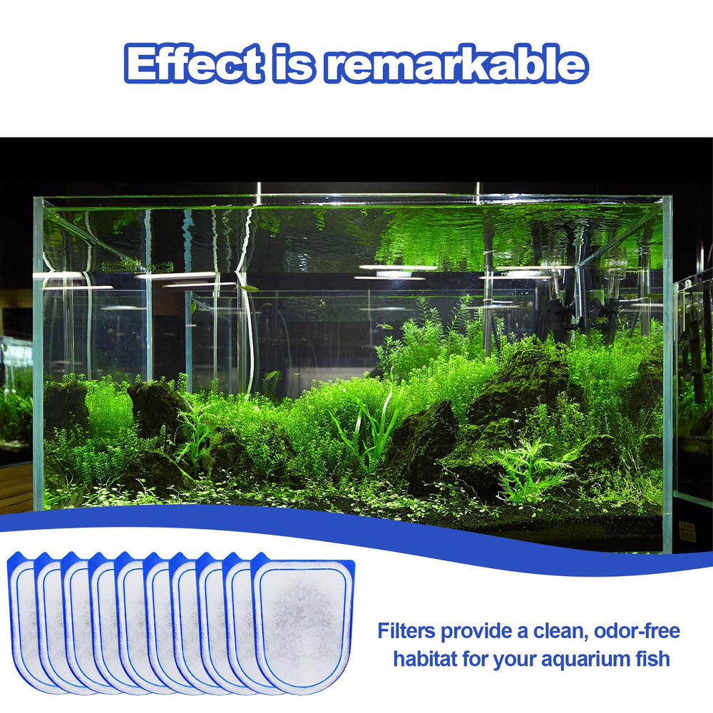 Chyodi carbon filter in water test tank showing improved clarity