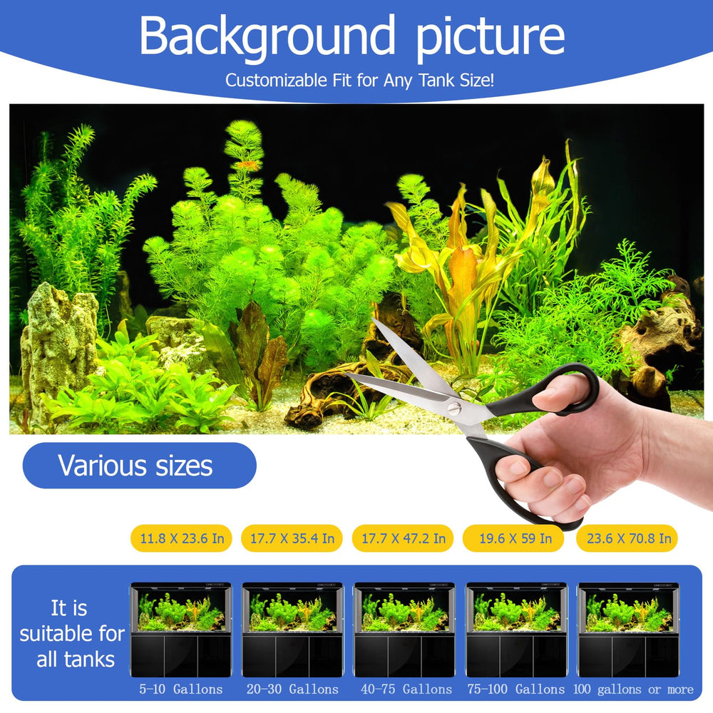 CICK SEED background provides vivid colors to enhance fish appearance