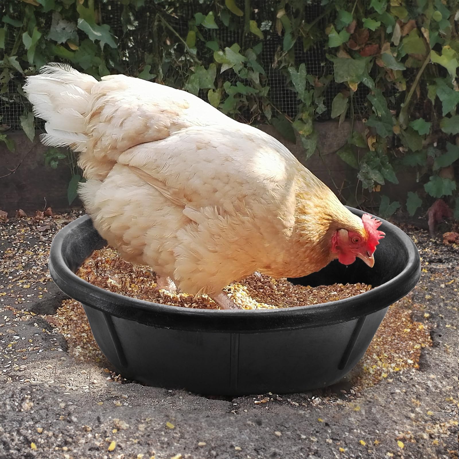 Cididu 2.1 gallon capacity suits multiple animals