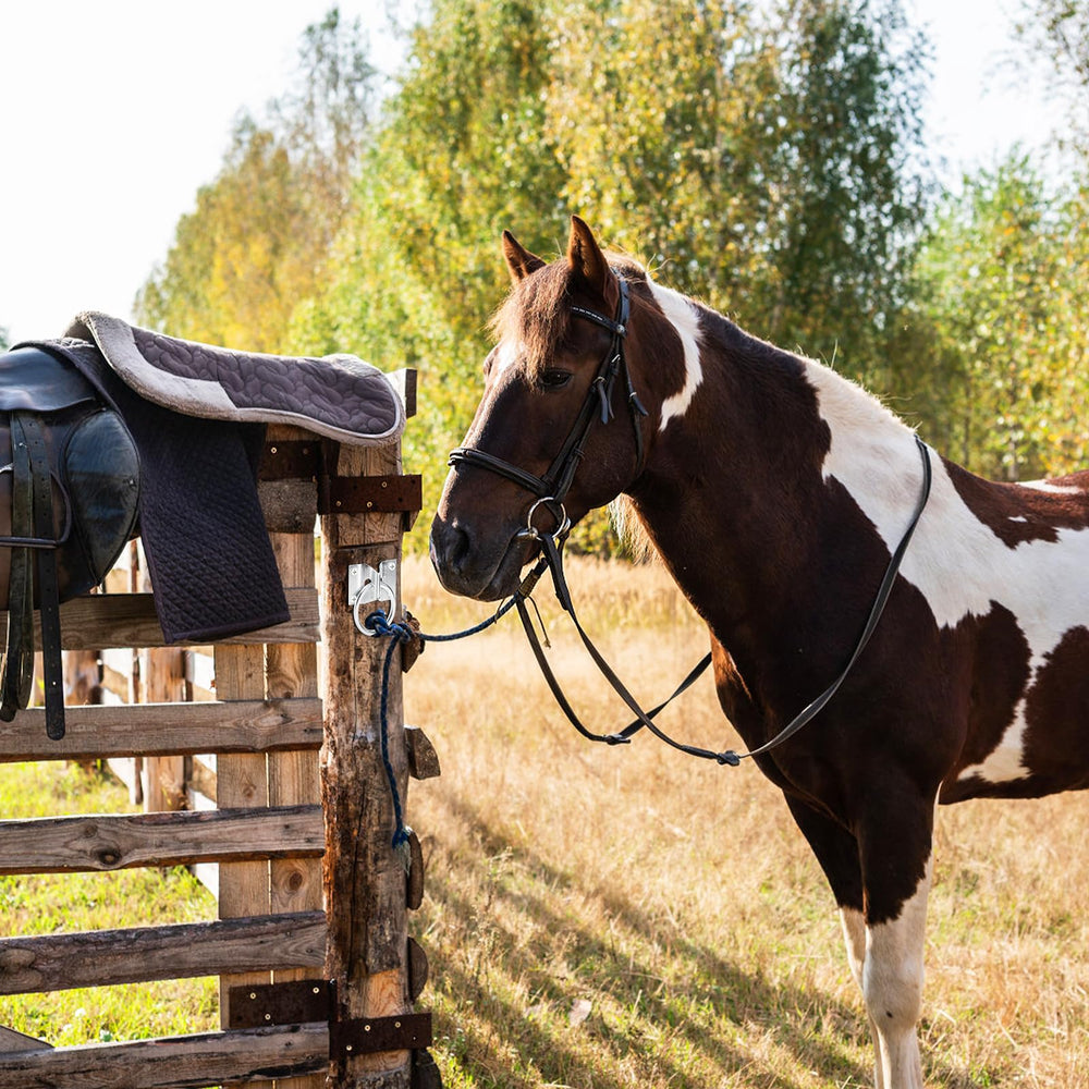 Cididu cross hitching ring in use to secure a horse lead