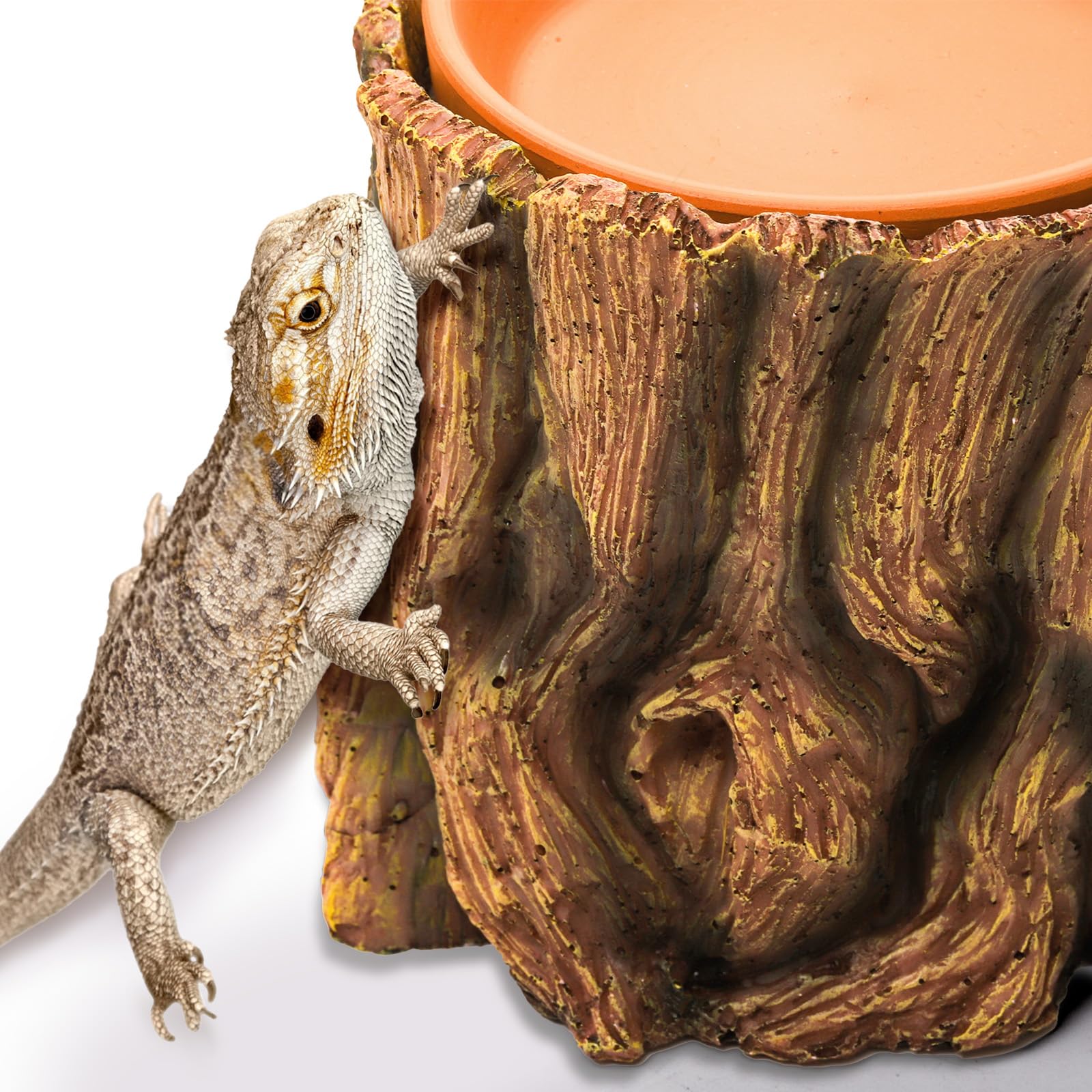 Cididu detachable ceramic bowl enables easy cleaning and flexible use as water or food dish.